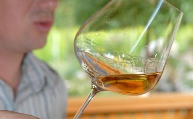 Vinogradarstvo i vinarstvo obitelji Tomac