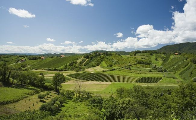 Specijalističko predavanje „Za razvoj ruralnih krajeva“