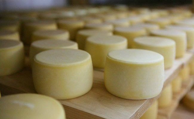 Cheese tasting Šestak 