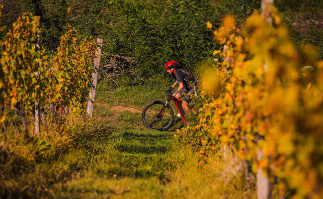 Mtb Kamp // Matija Kvasina&Biker