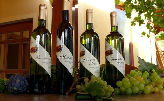 Vinarstvo i vinogradarstvo Španić