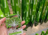 Izvrstan Žumberak Trail okupio rekordan broj trkača