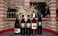 Vinarija Kolarić Coletti
