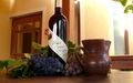 Vinarstvo i vinogradarstvo Španić